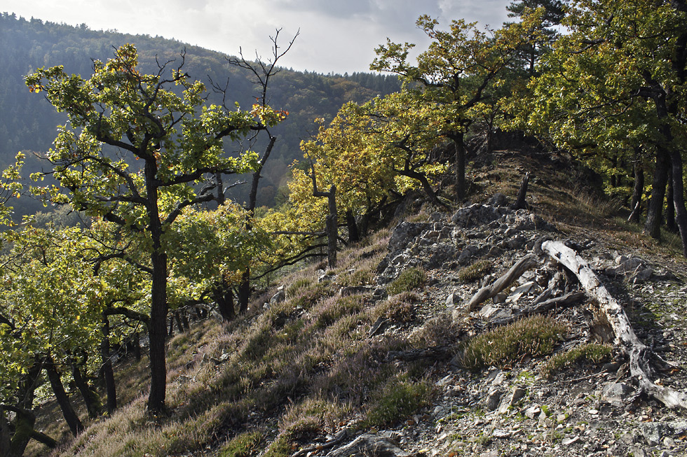 Autumn on the "Little Beldam Hill" - larger format