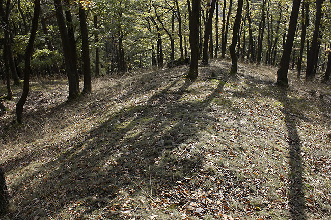 Prehistoric earthwork - smaller format