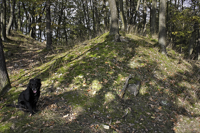 Prehistoric earthwork - smaller format