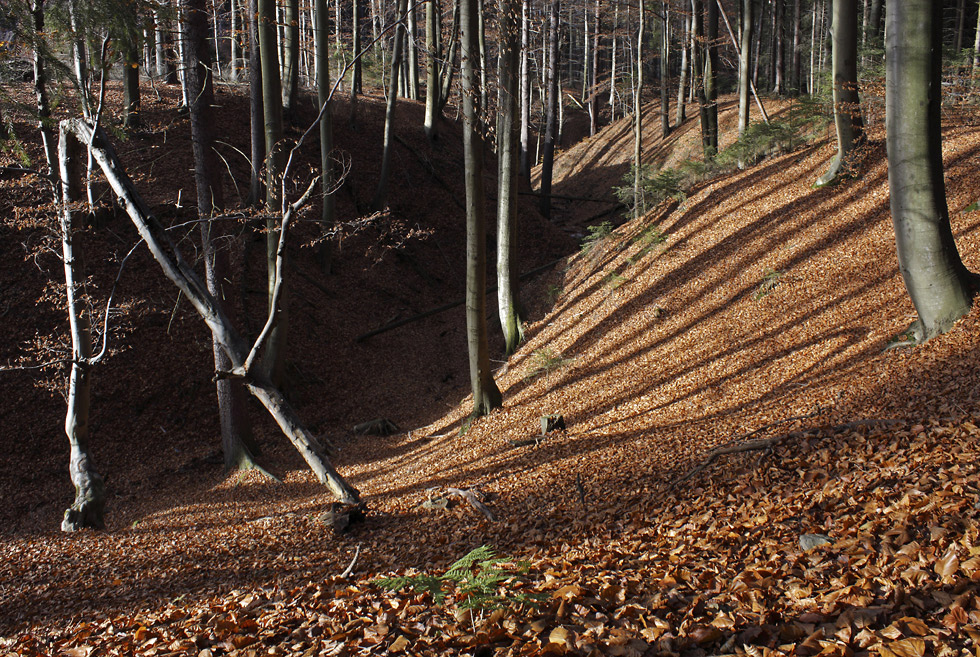 Little gorge - larger format