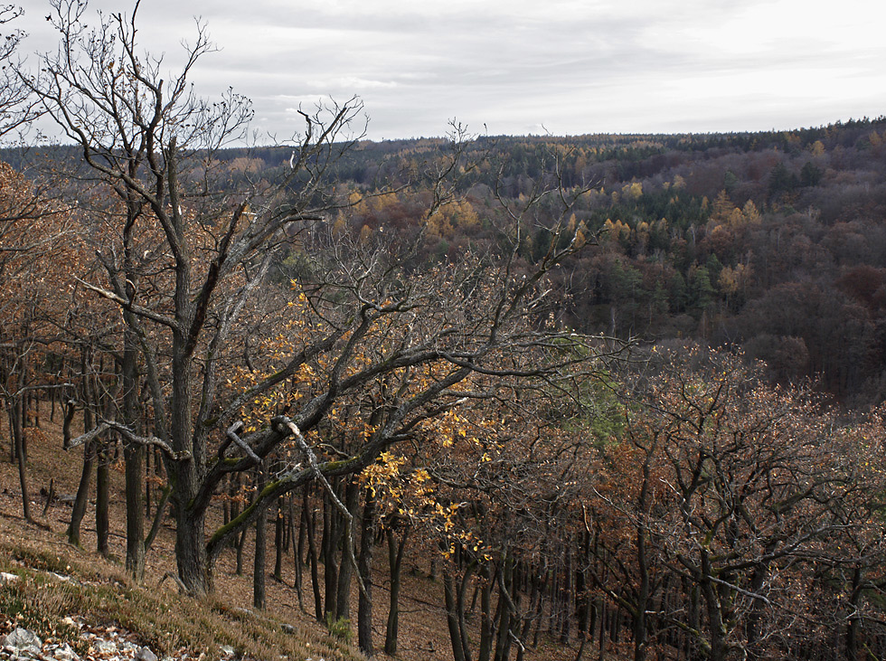 Autumn on the "Little Beldam Hill" - larger format