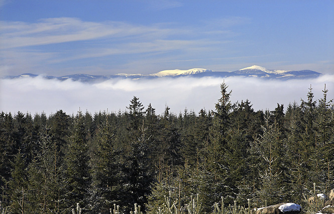 Krkonoe nad mraky - men formt