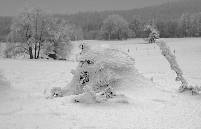 Kolem Kaprouna - men formt