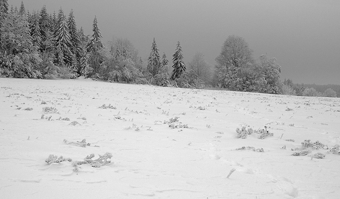 Near "Kaproun" - smaller format