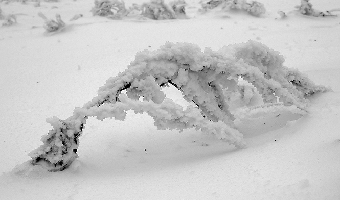 Near "Kaproun" - smaller format