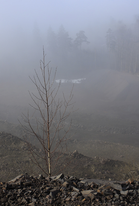 Over the quarry - larger format