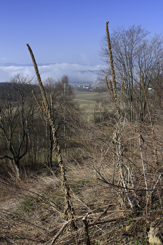 View to west - larger format