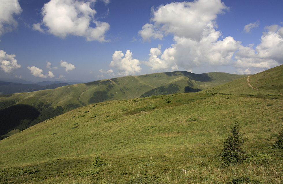 Poloninsk krajina - vt formt