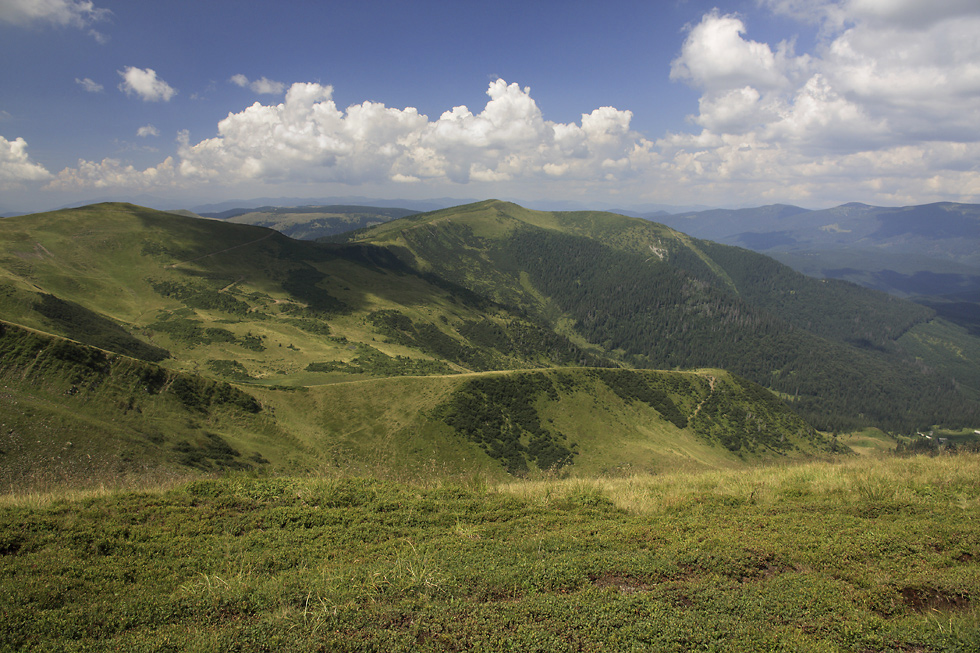 Pohled na severozpad - vt formt