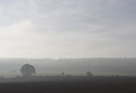 Misty morning - main link