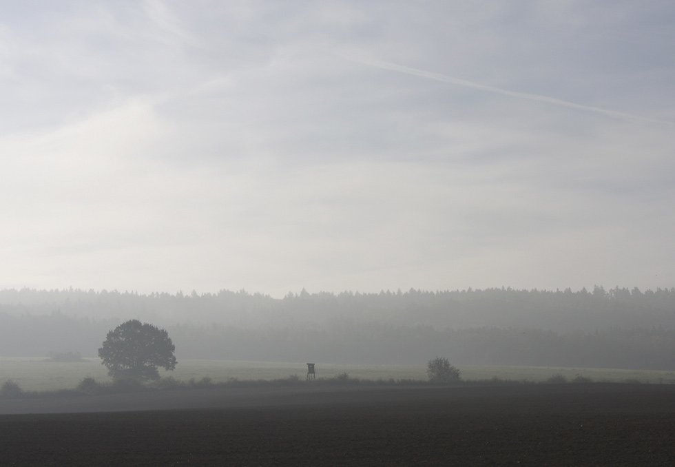 Misty morning - larger format
