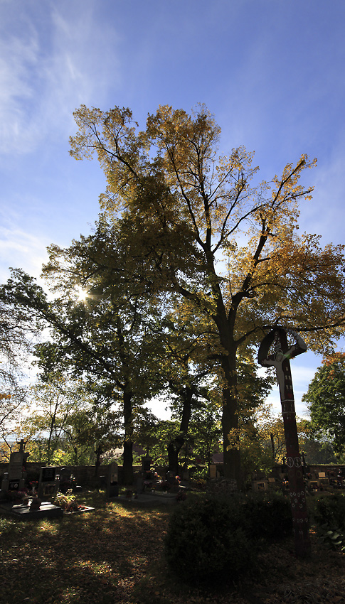 Autumn in "Neumtely" - larger format
