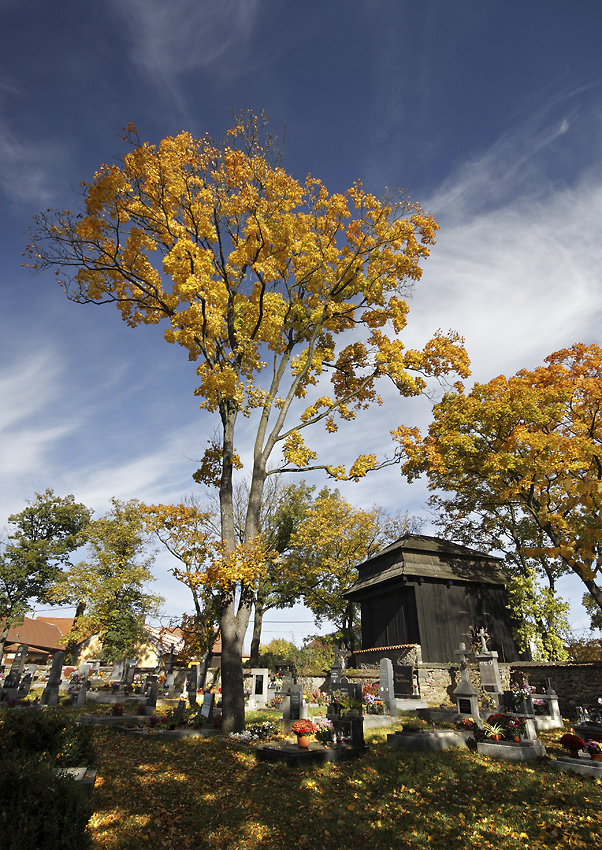 Autumn in "Neumtely" - larger format