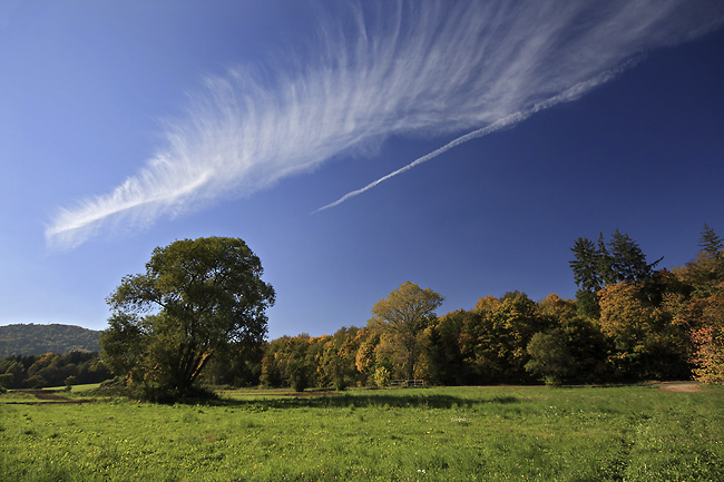 Feather on the sky - smaller format