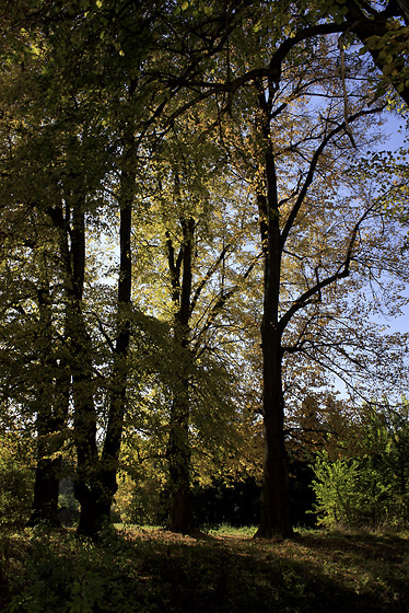 Autumn in "St. Benigna" - smaller format