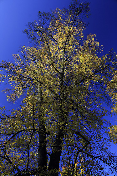 Autumn in "St. Benigna" - smaller format