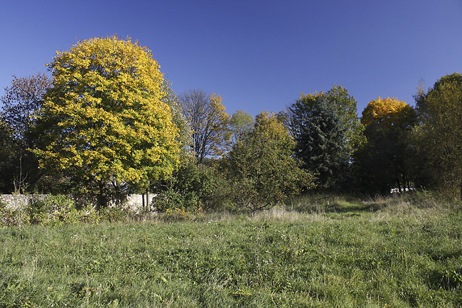 Autumn in "St. Benigna" - smaller format