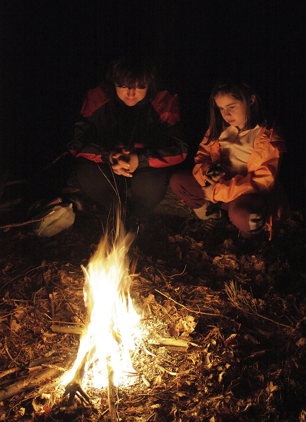 Evening in the wood - larger format