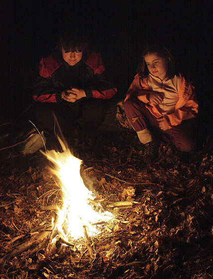 Evening in the wood - smaller format