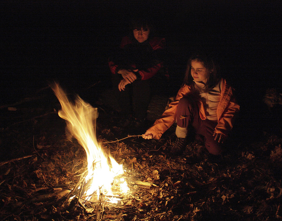 Evening in the wood - larger format