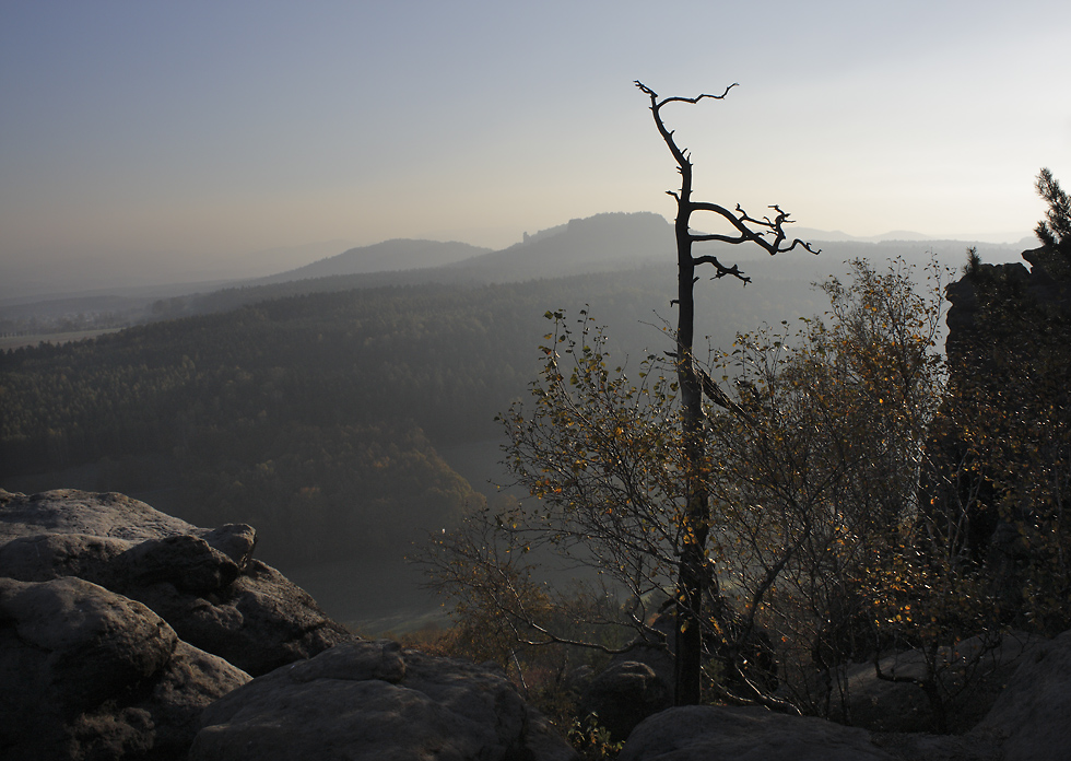 Gohrisch a Papststein - vt formt