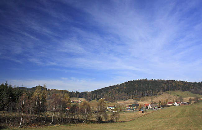 czna - men formt