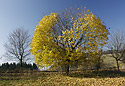 Podzim pod Bikem - hlavn odkaz