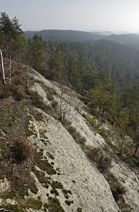 Over the "Chamomile valley" - larger format