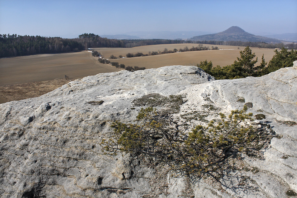 On the "Silver Hill" - larger format