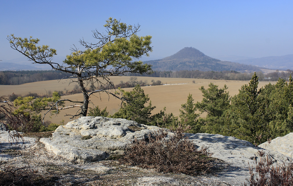 On the "Silver Hill" - larger format