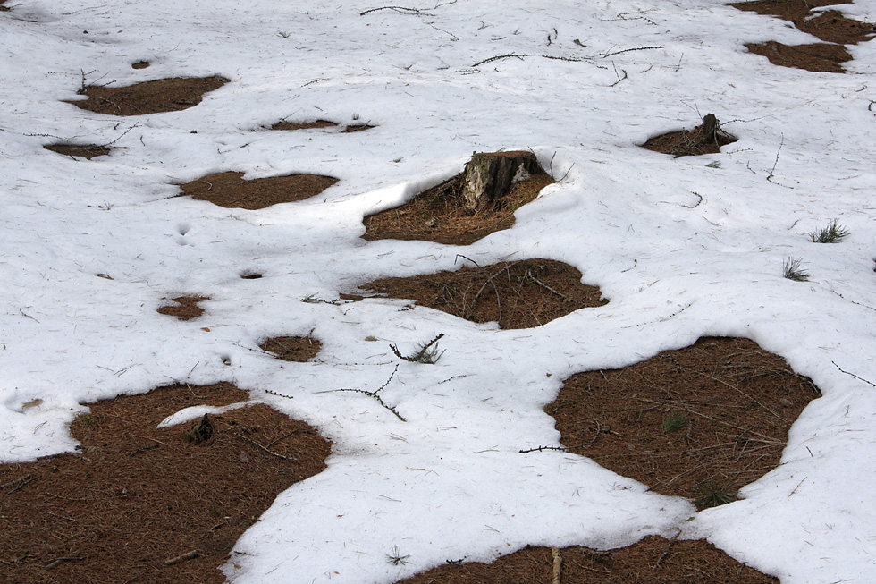 Late winter - larger format