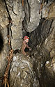 V Pn jeskyni - hlavn odkaz
