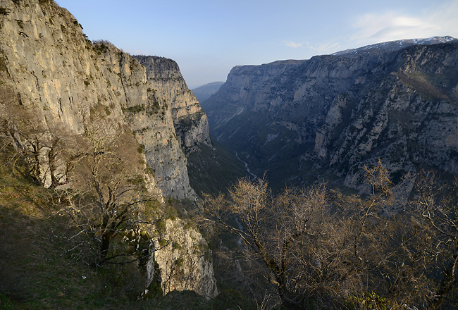 Kaon Vikos - men formt