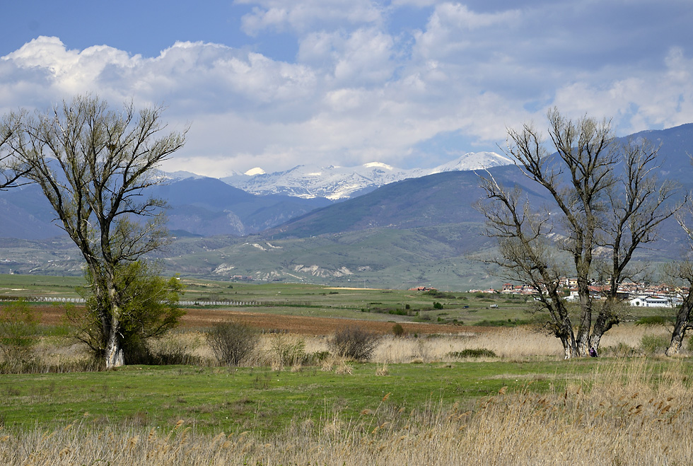 Pirin - vt formt