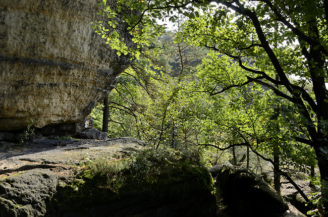 Ve skalch - men formt