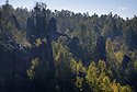 Nad Kovovou rokl - hlavn odkaz