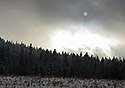Mran clona - hlavn odkaz