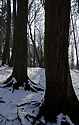 At "Bezdz" - main link