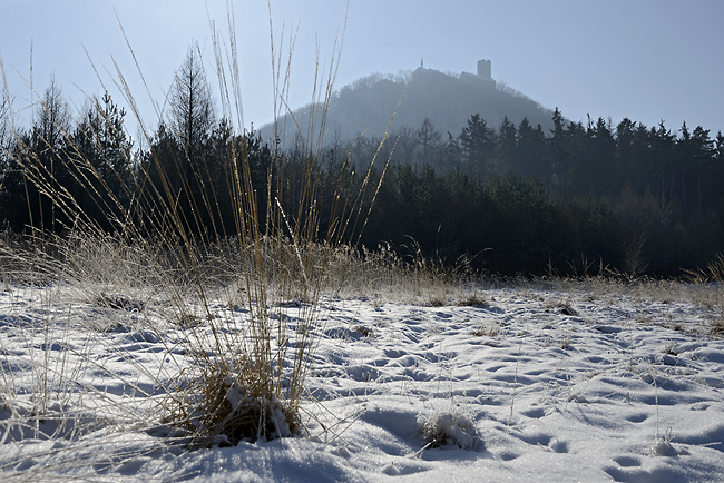 At "Bezdz" - smaller format
