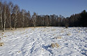 At "Bezdz" - main link