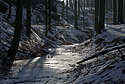 In the flume - main link