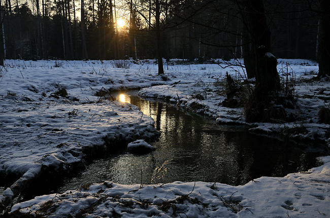 "Plounice Creek" - smaller format
