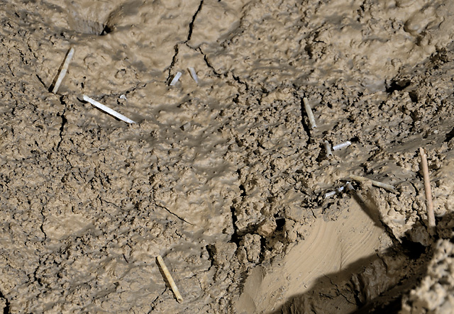 Broken straw-dripstones - smaller format