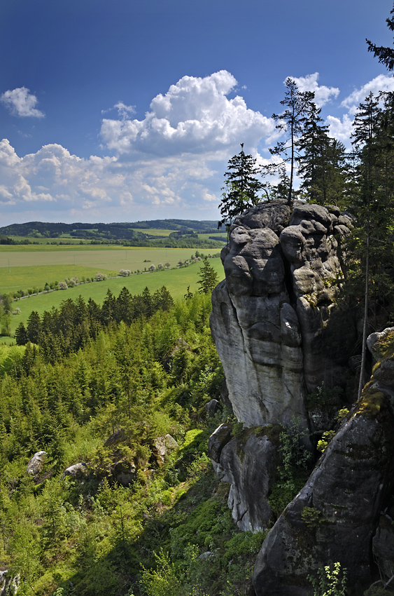 Stny Hejdy - vt formt