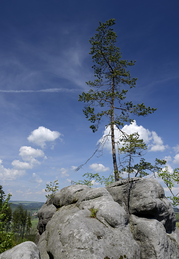 Na skle - vt formt