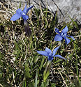 Hoec jarn - hlavn odkaz