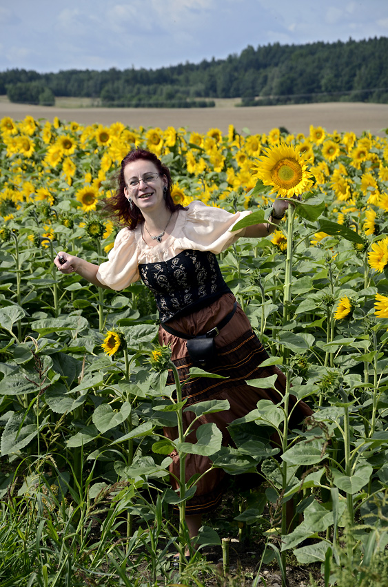 Sunflower nymph - larger format