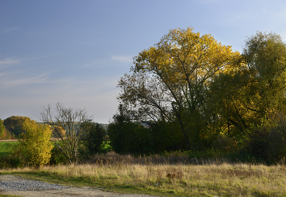 Near "Cholupice" - larger format