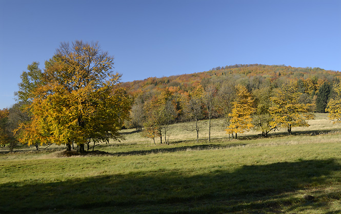 Autumn under the "Cold Hill" - smaller format
