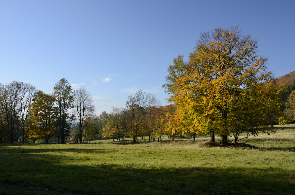 Autumn under the "Cold Hill" - larger format